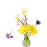 H.花瓶スタータープラスコース [2026年3月 - 1回目]