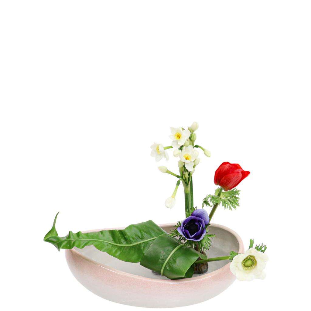 S.プラスONE 切り花S [2026年3月 - 1回目]