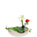 S.プラスONE 切り花S [2026年3月 - 1回目]