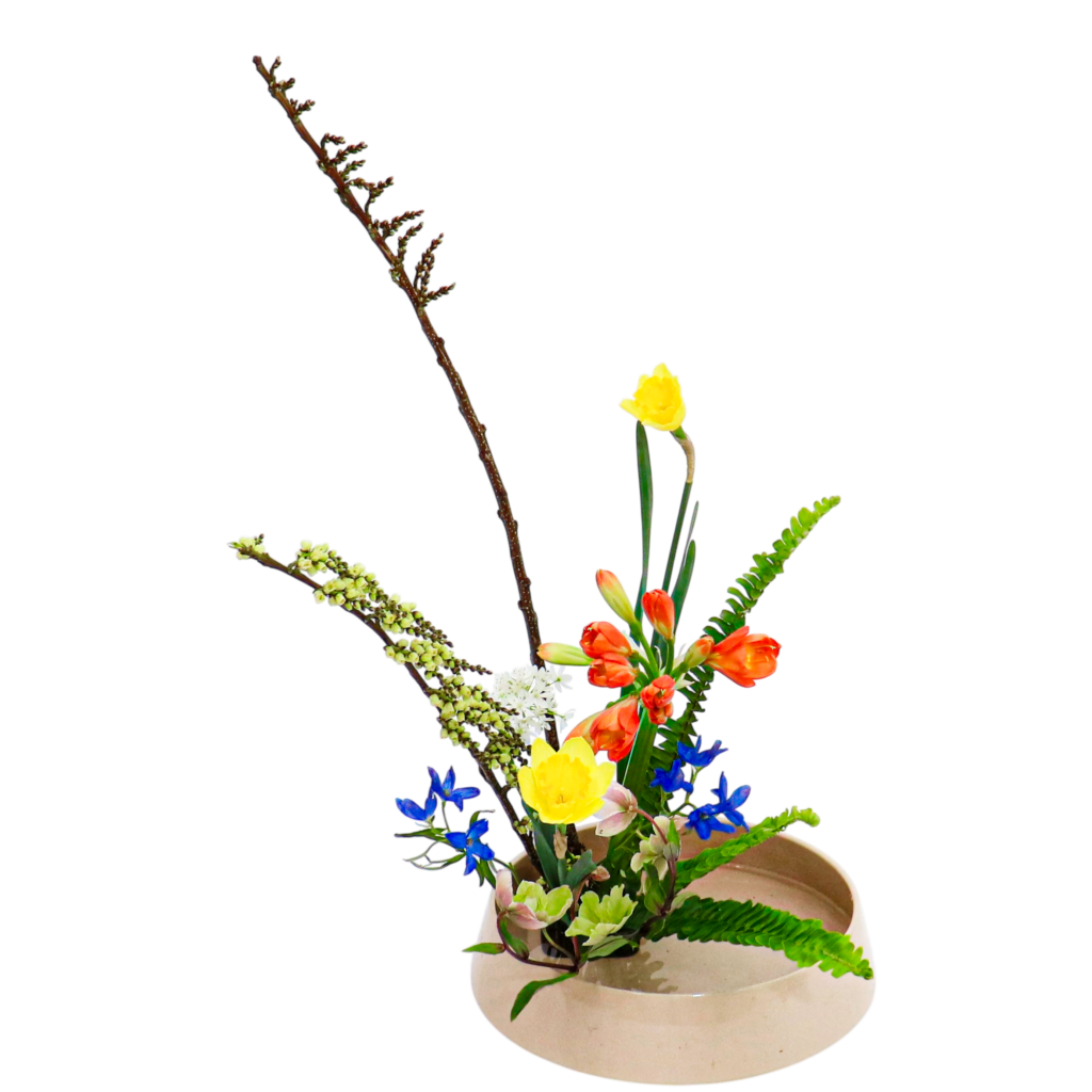 Z.水盤スタンダードコース [2026年3月 - 1回目]