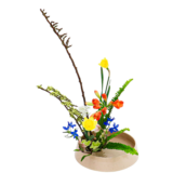 Z.水盤スタンダードコース [2026年3月 - 1回目]