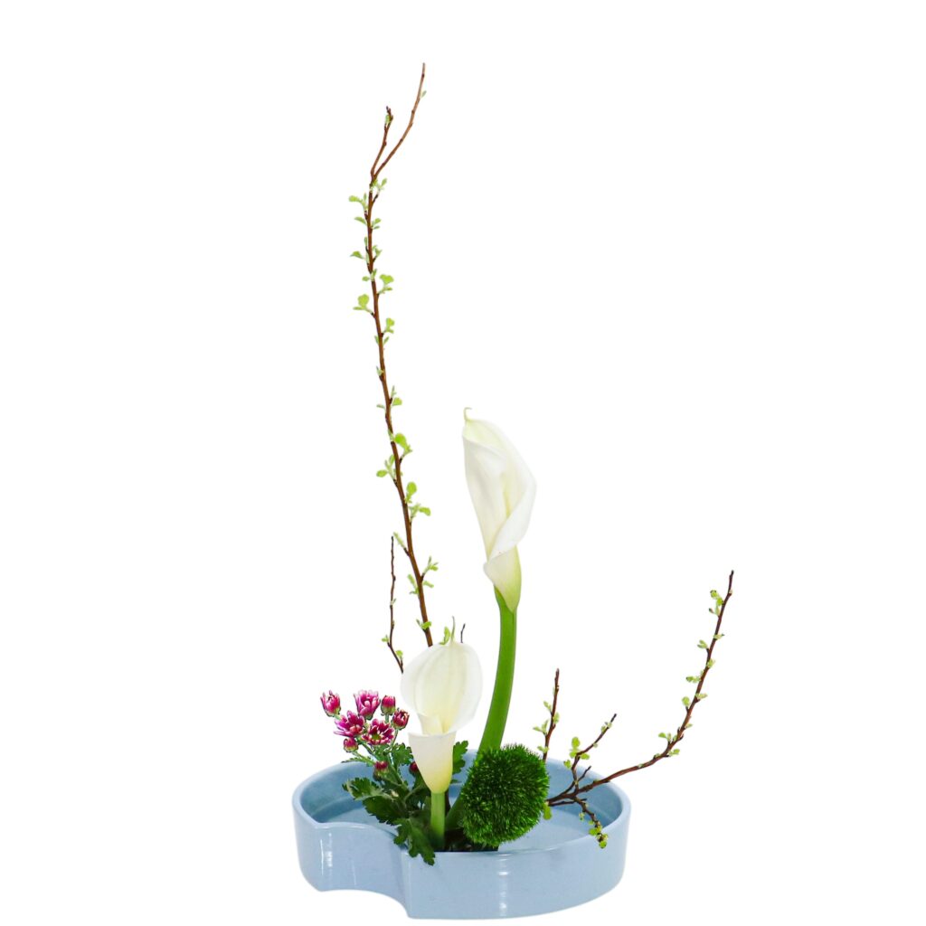 A.花瓶・水盤バラエティーコース [2026年3月 - 2回目]