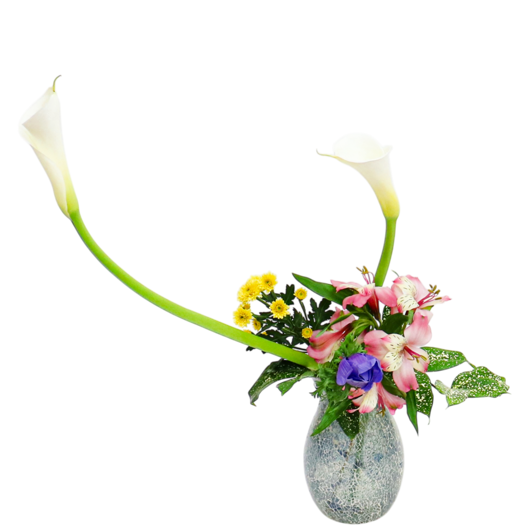 A.花瓶・水盤バラエティーコース [2026年3月 - 2回目]