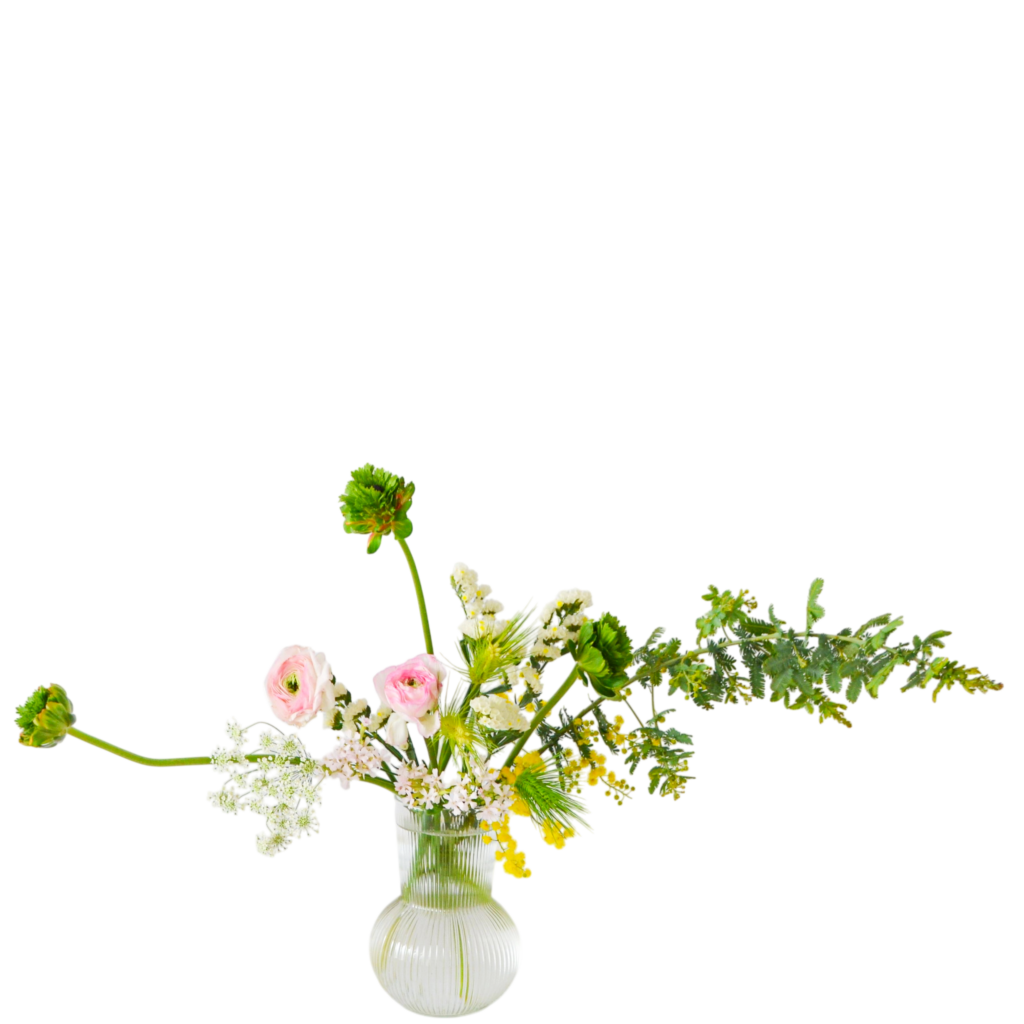 B.花瓶スターターコース [2026年3月 - 2回目]