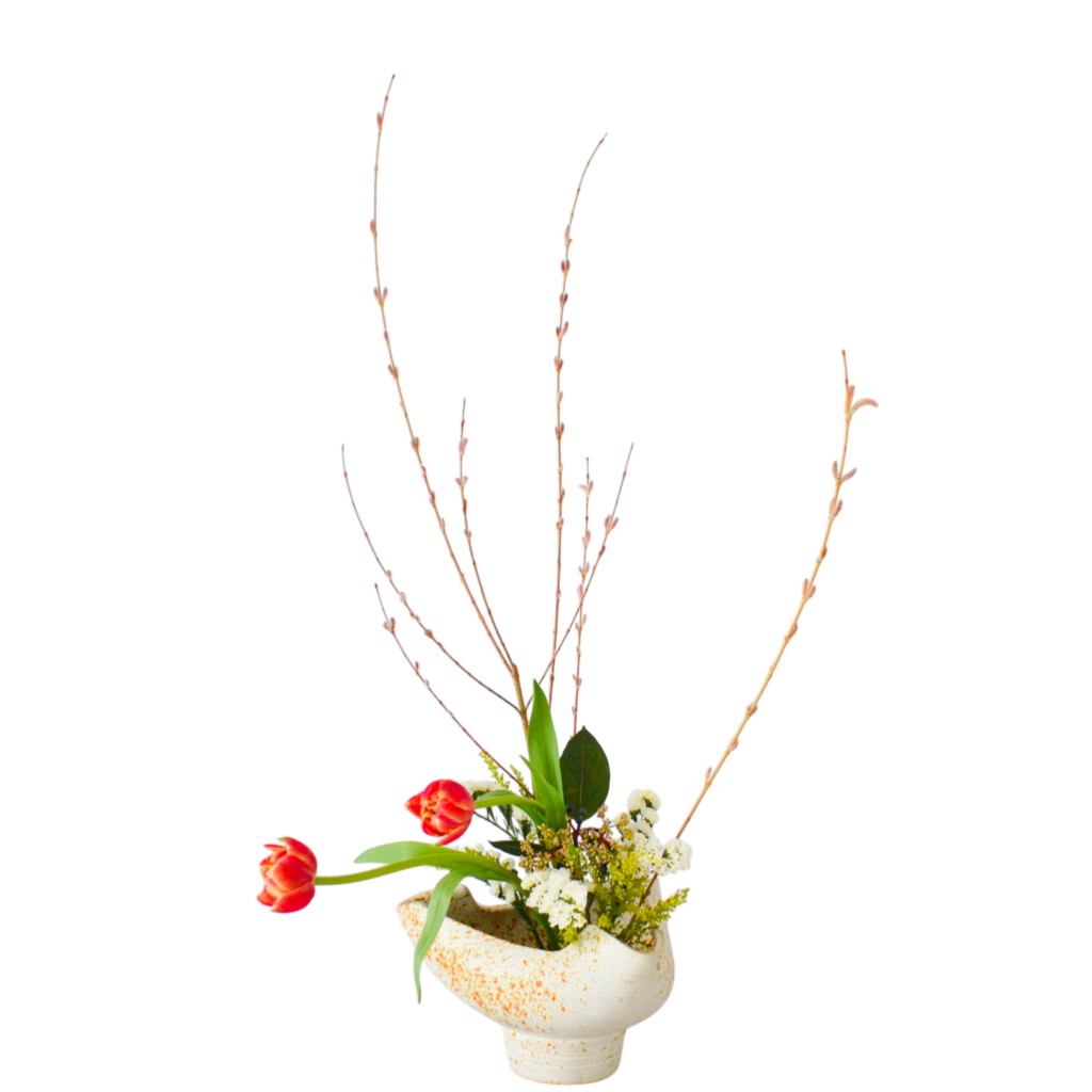 C.水盤スターターコース [2026年3月 - 2回目]