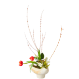 C.水盤スターターコース [2026年3月 - 2回目]