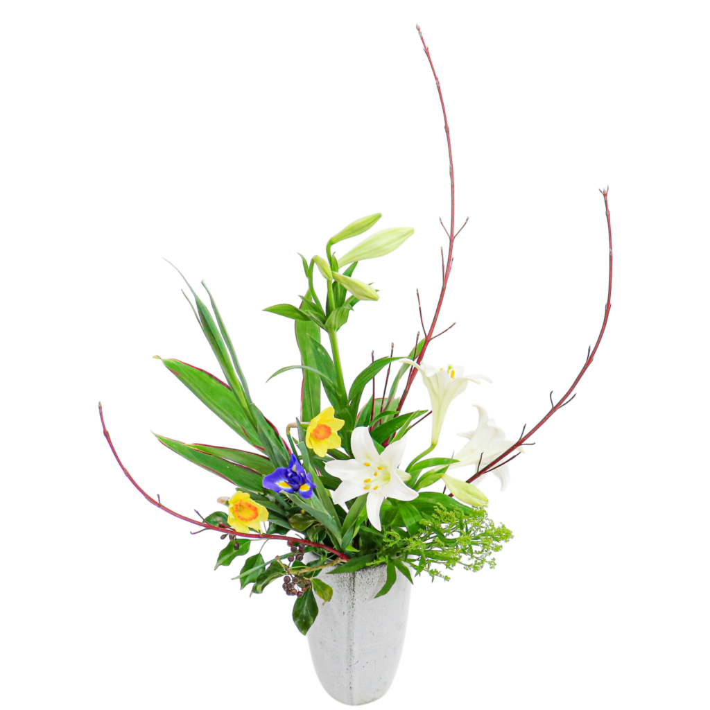 D.花瓶プレミアムコース [2026年3月 - 2回目]