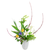 D.花瓶プレミアムコース [2026年3月 - 2回目]