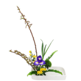 F.花瓶・水盤スターターコース [2026年3月 - 2回目]