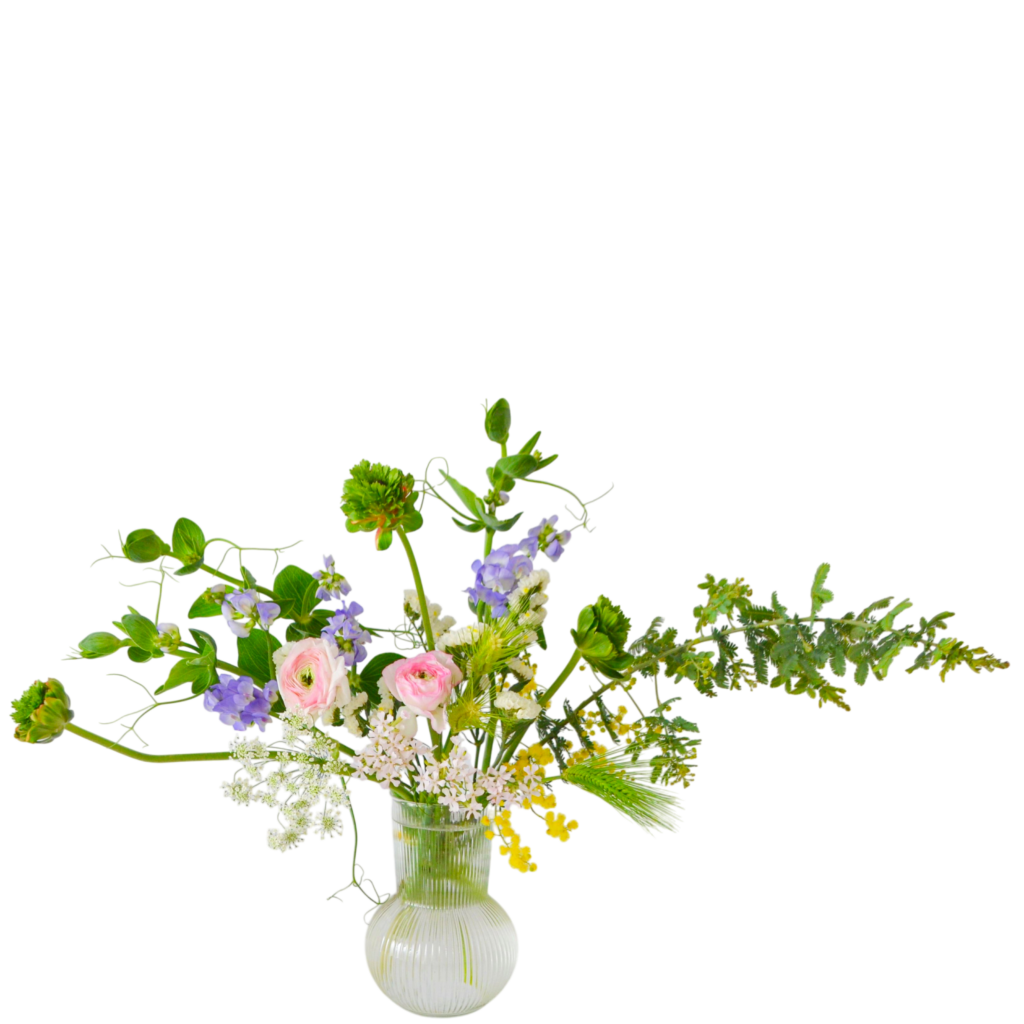 H.花瓶スタータープラスコース [2026年3月 - 2回目]