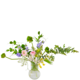 H.花瓶スタータープラスコース [2026年3月 - 2回目]