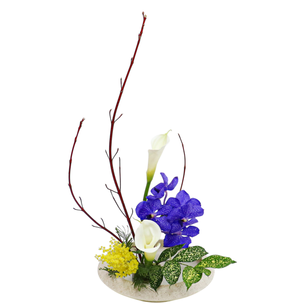 Z.水盤スタンダードコース [2026年3月 - 2回目]