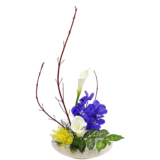 Z.水盤スタンダードコース [2026年3月 - 2回目]