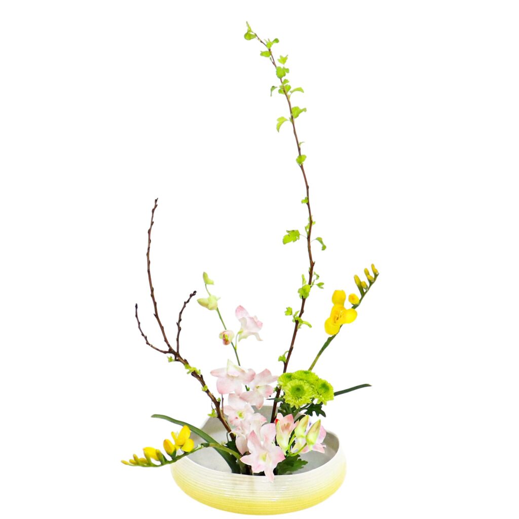 A.花瓶・水盤バラエティーコース [2026年3月 - 3回目]