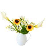 B.花瓶スターターコース [2026年3月 - 3回目]