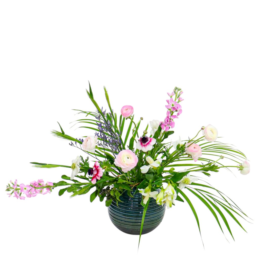 D.花瓶プレミアムコース [2026年3月 - 3回目]