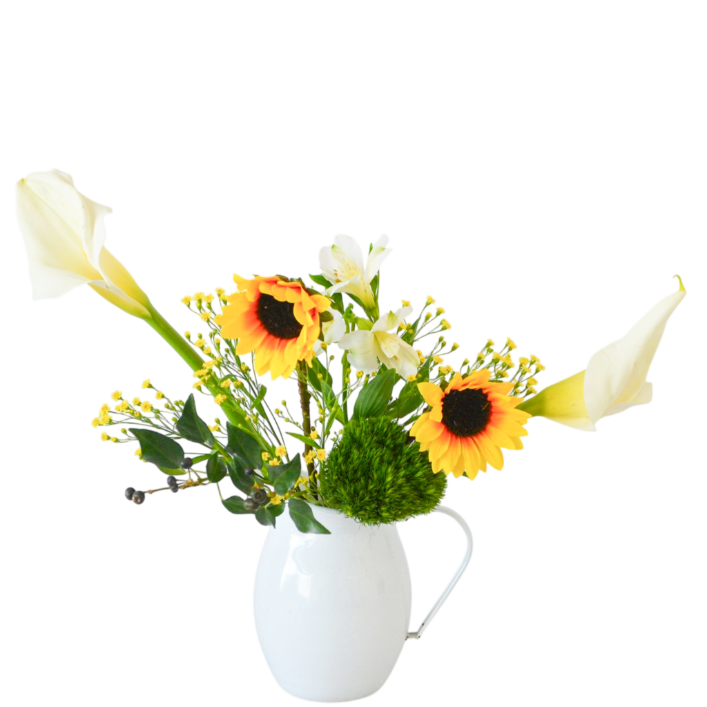 H.花瓶スタータープラスコース [2026年3月 - 3回目]