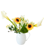 H.花瓶スタータープラスコース [2026年3月 - 3回目]