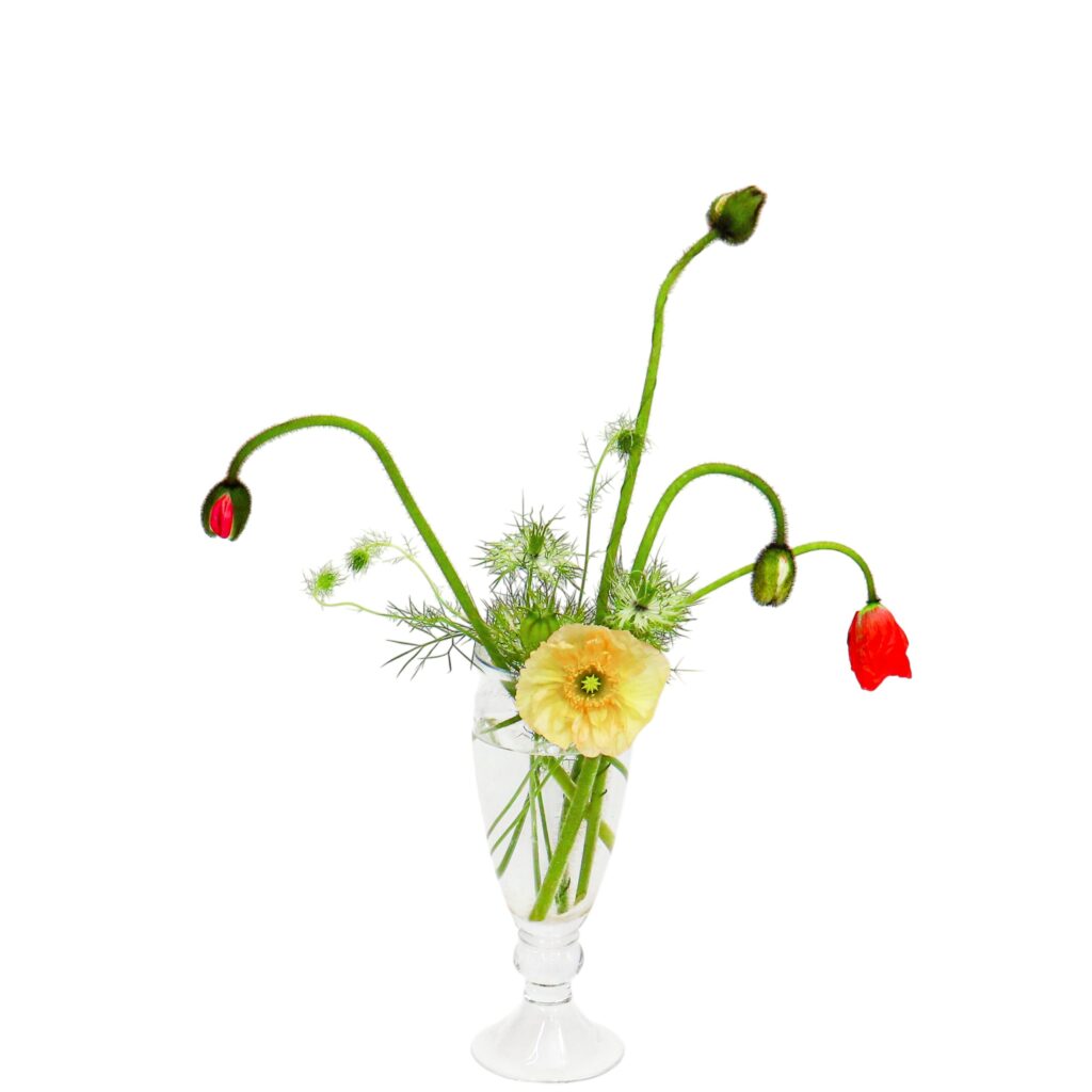 S.プラスONE 切り花S [2026年3月 - 3回目]