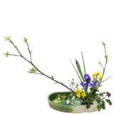 Z.水盤スタンダードコース [2026年3月 - 3回目]