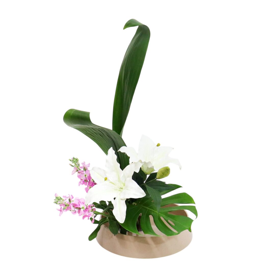 C.水盤スターターコース [2026年3月 - 3回目]