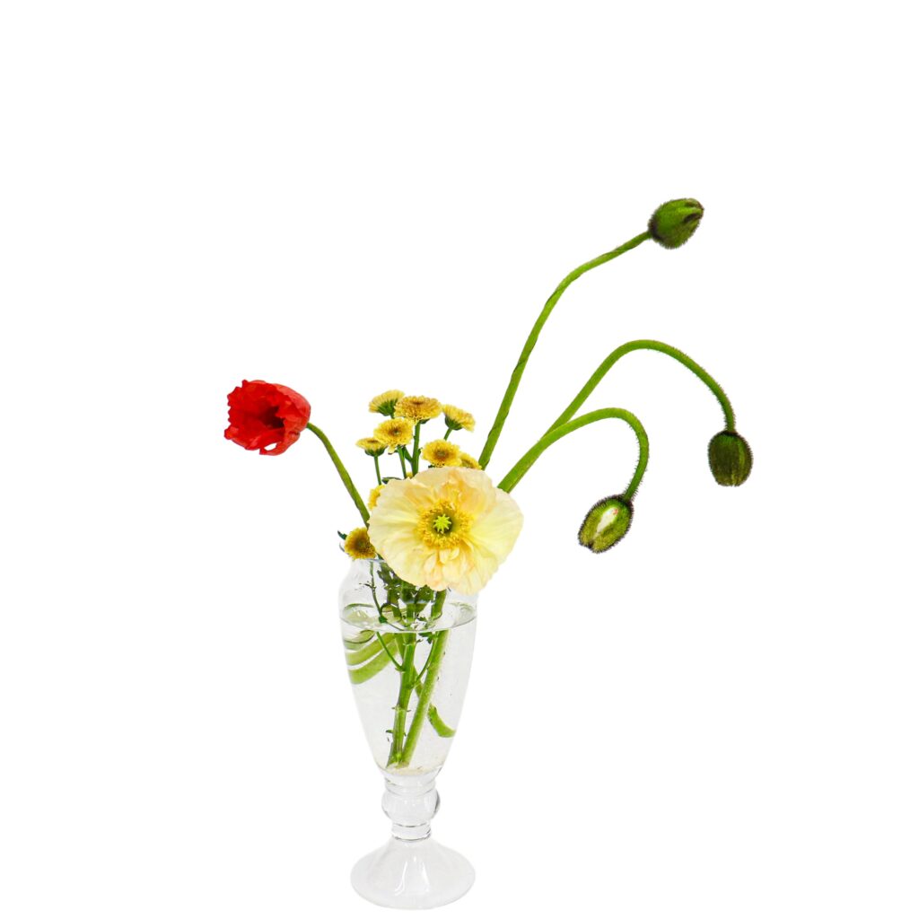 S.プラスONE 切り花S [2026年3月 - 3回目]