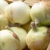 2026年 さんらいふ生活４月号