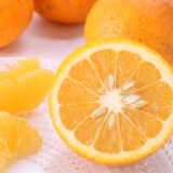 2026年 さんらいふ生活４月号