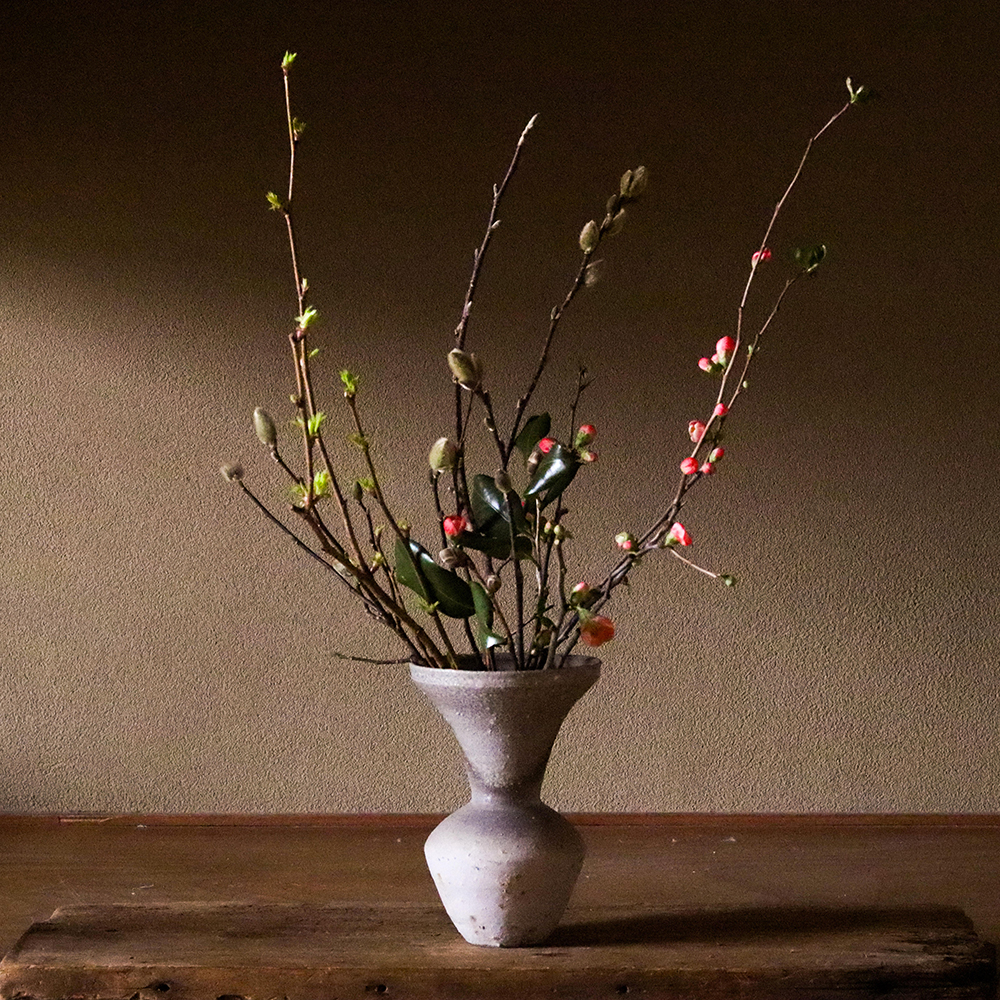 和暦 花の風コース [2026年3月 - 1回目]