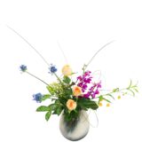 D.花瓶プレミアムコース [2026年4月 - 2回目]