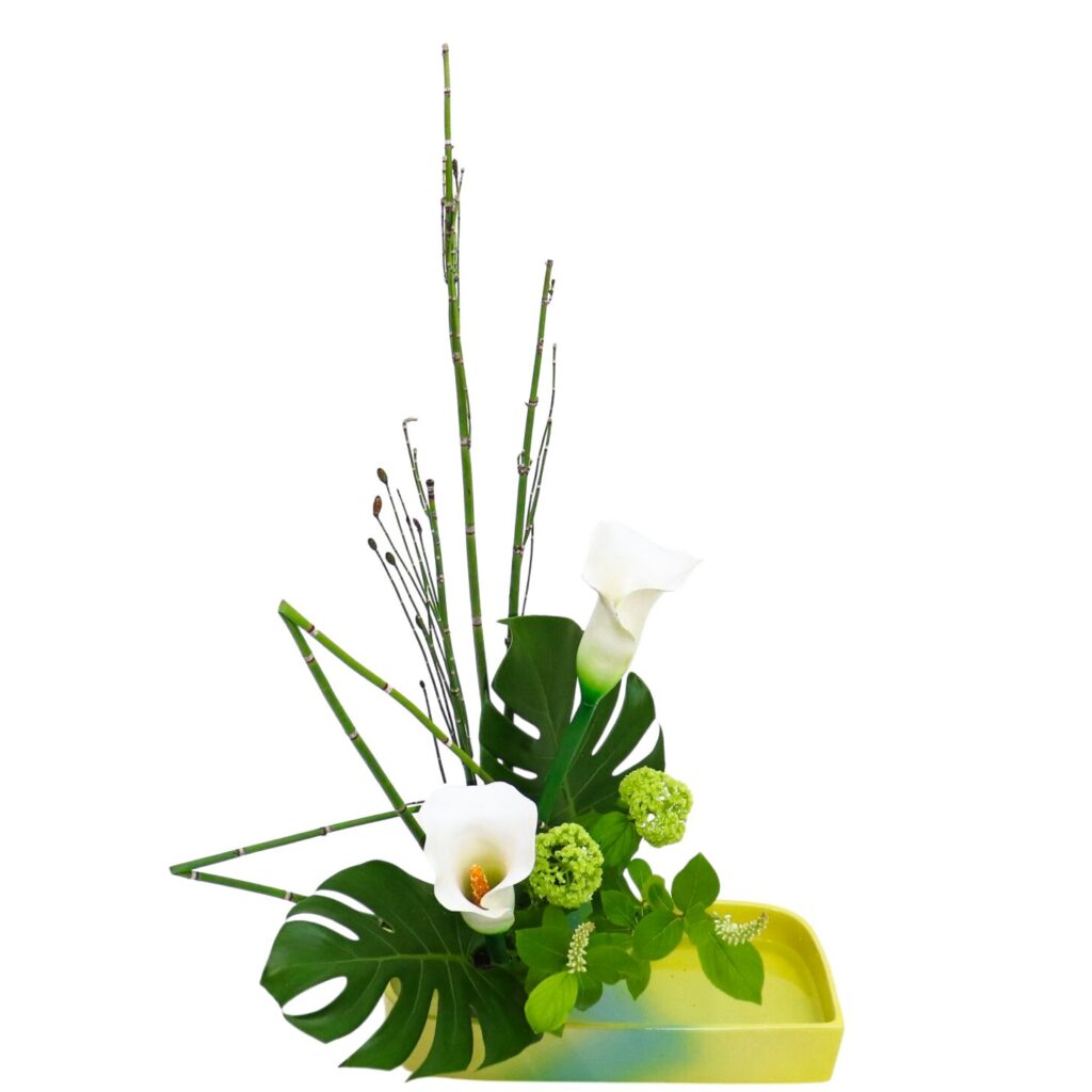 Z.水盤スタンダードコース [2026年5月 - 1回目]