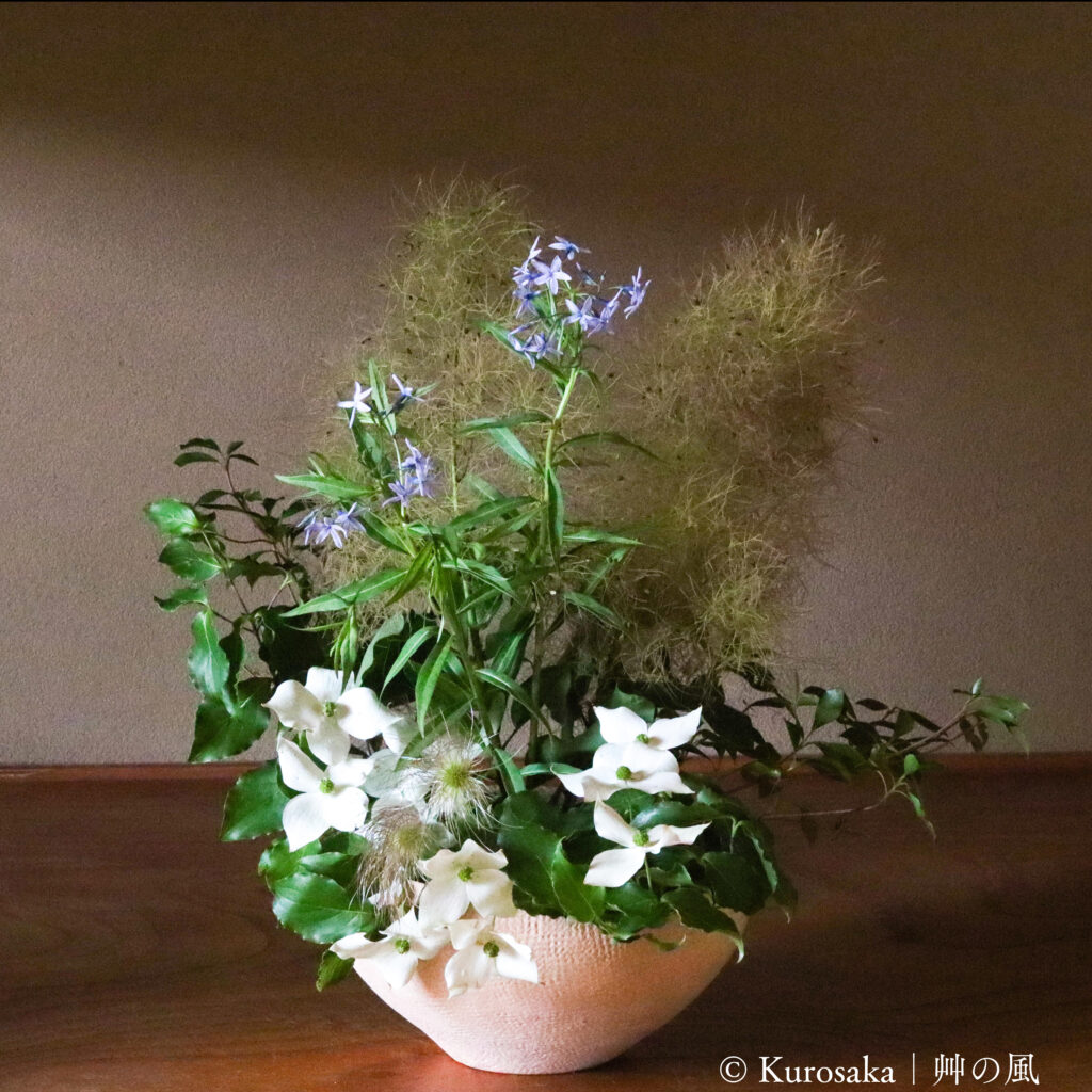 和暦 花の風コース [2026年6月 - 1回目]