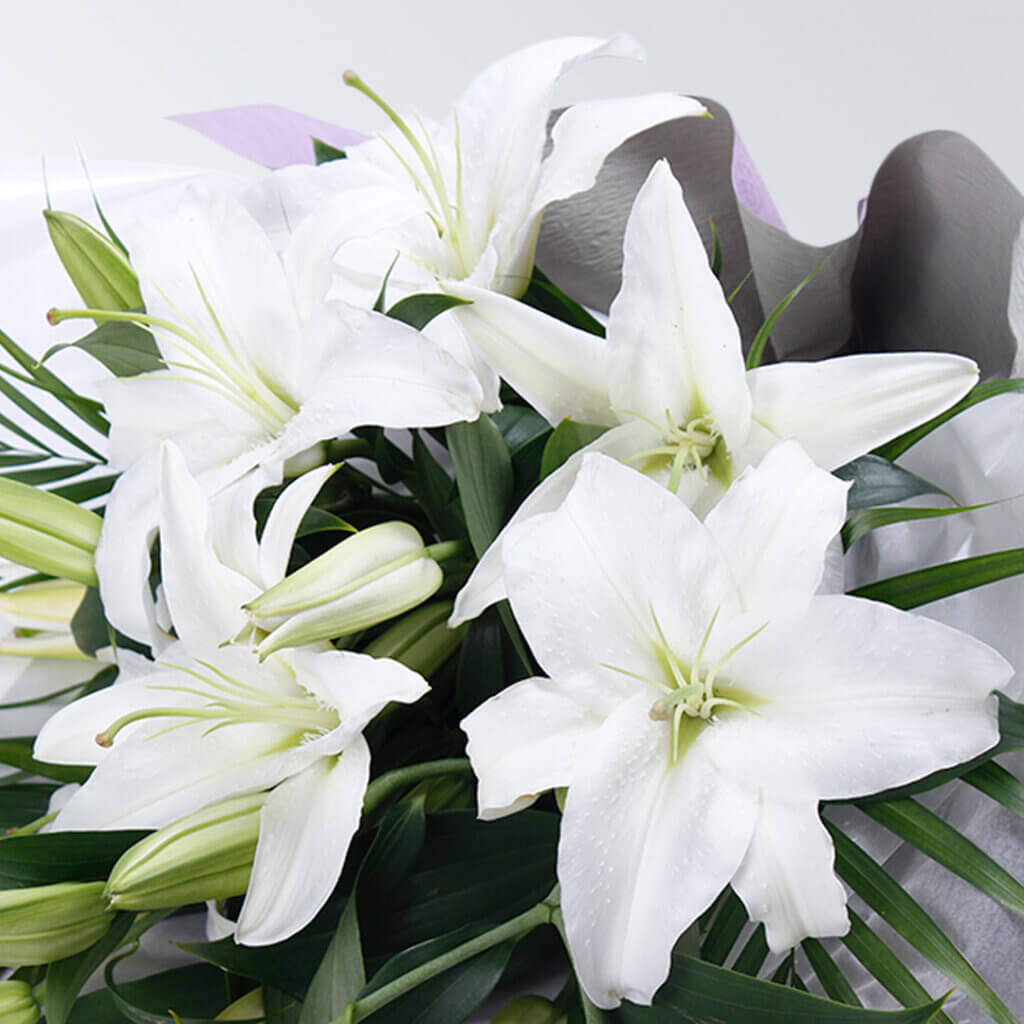 真っ白なユリ5本の花束