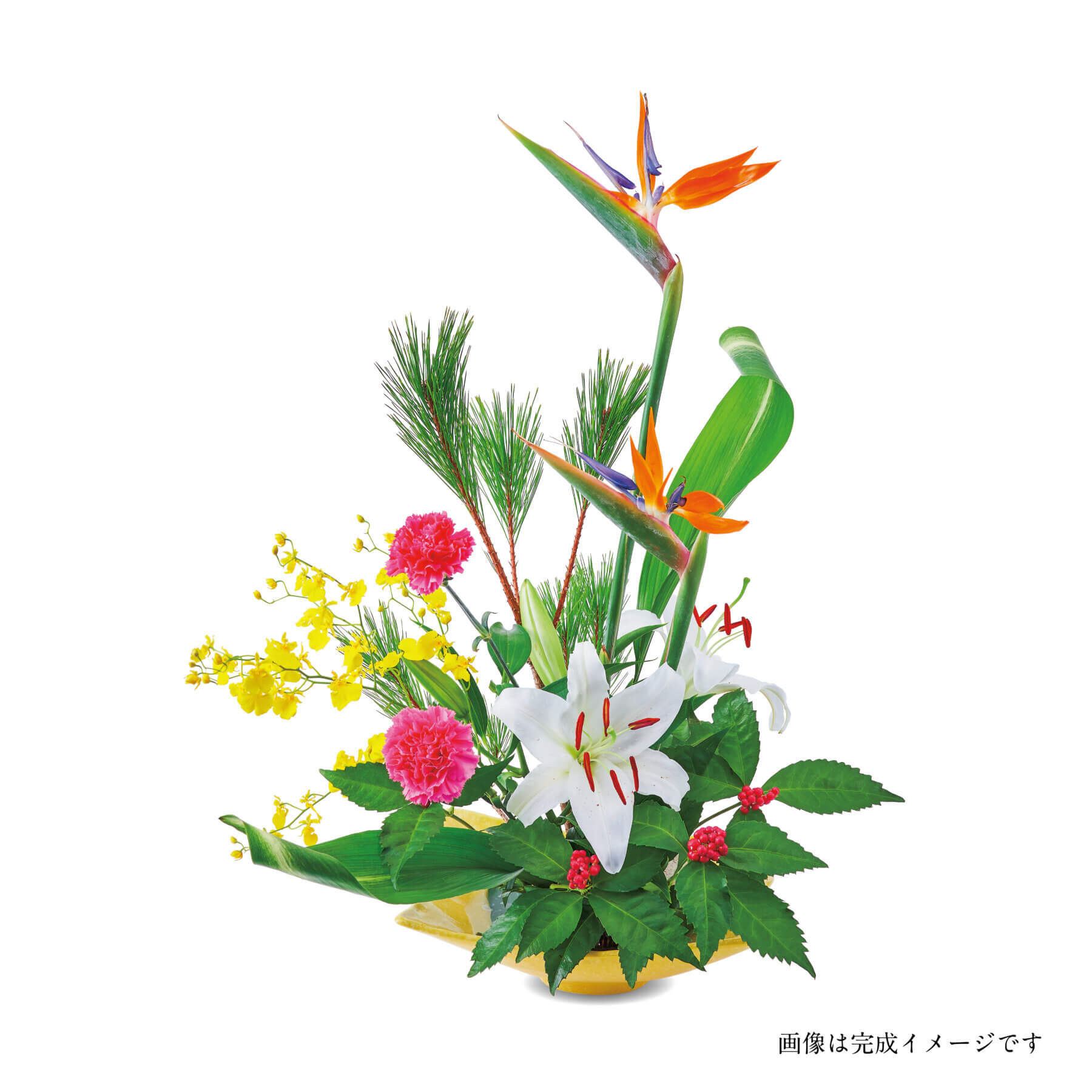 新年の花 手引書付き花材セットC【12/27～29お届け】