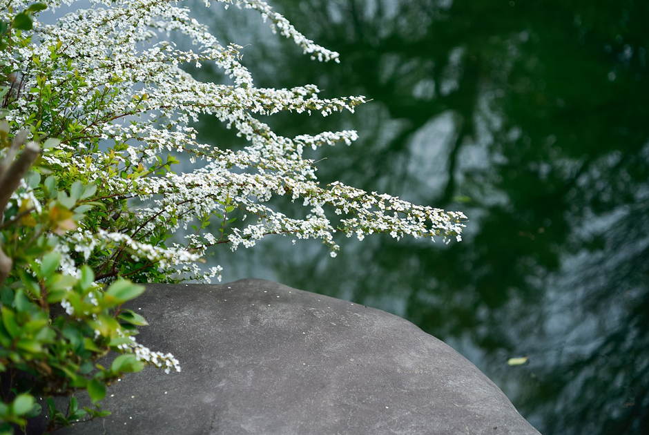 萬古焼の花瓶 8寸皿