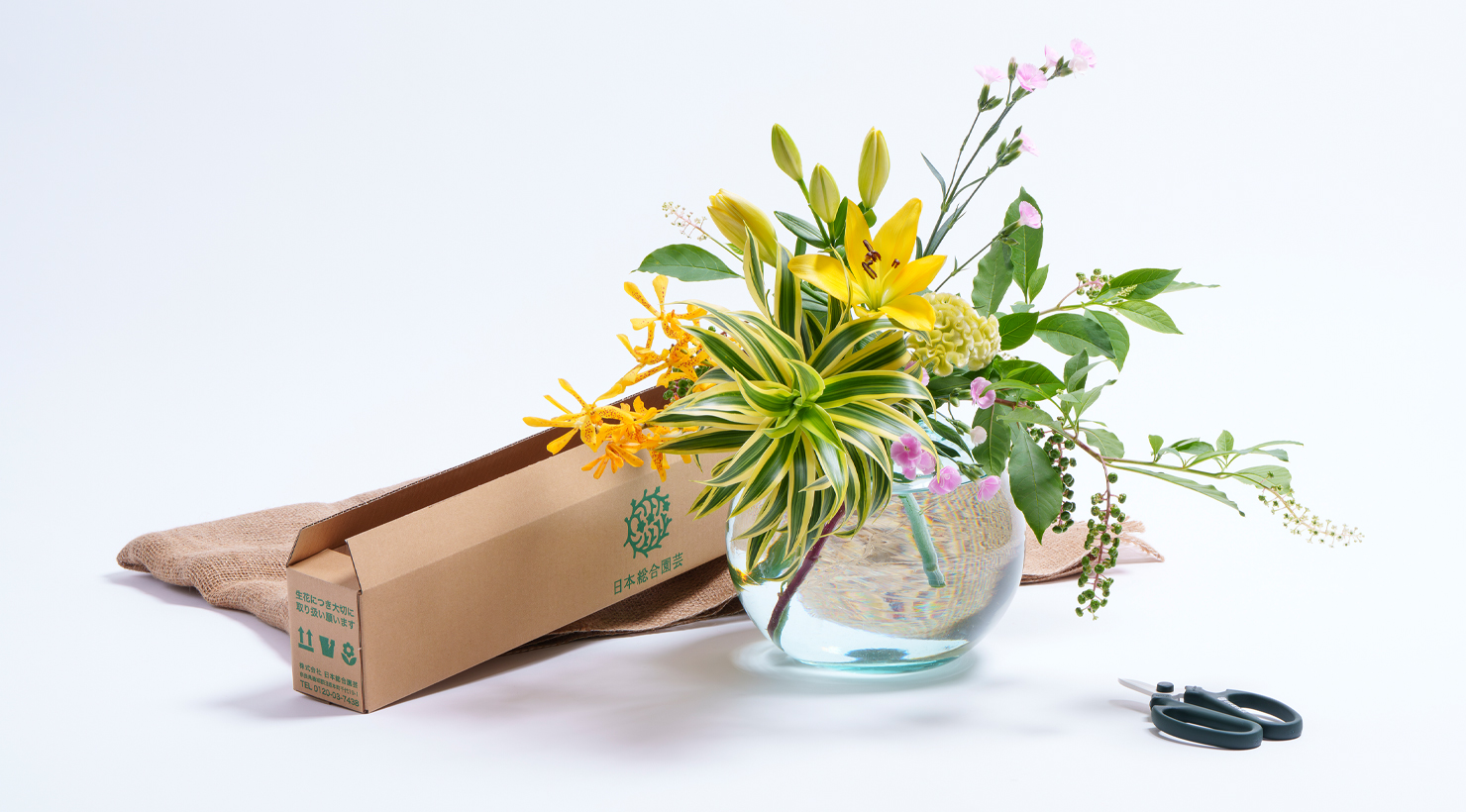 局長さまご確認用　生花→ドライフラワー ドライフラワー | 商品 | 日本総合園芸