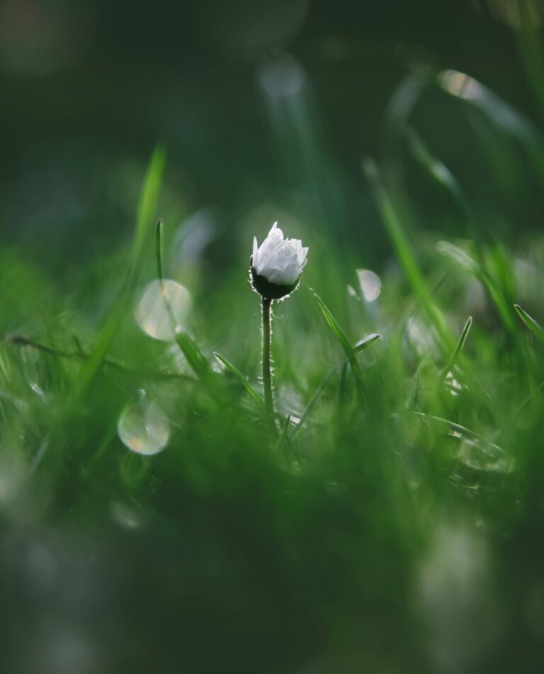 人間や植物にとって青息吐息