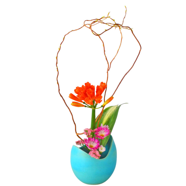 君子蘭ってどんな花？