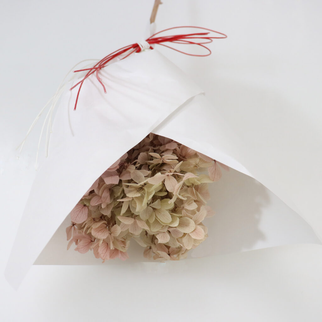 紫陽花 -おまじないのお話-