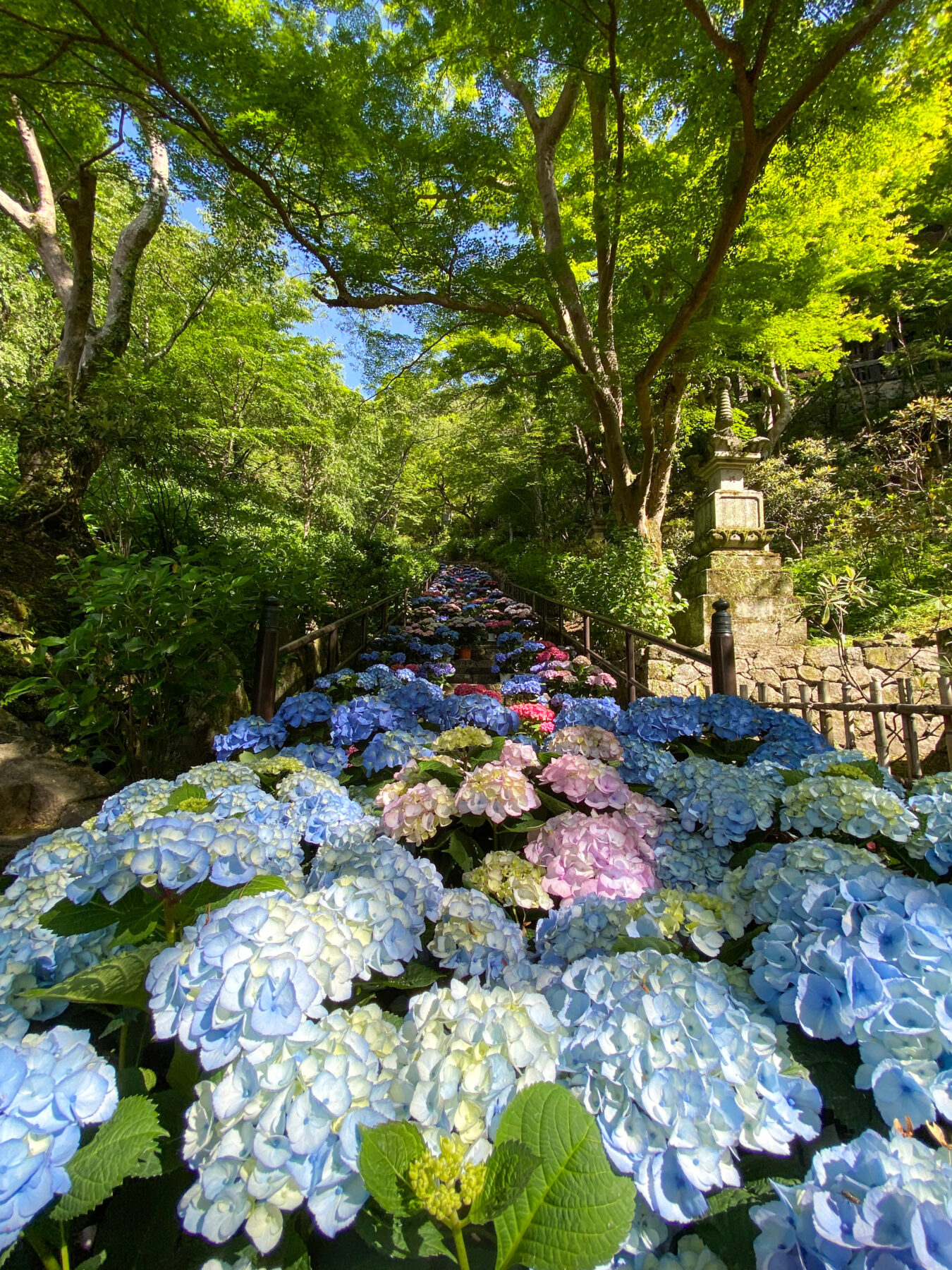 ~5月、花の便りが届くころ~