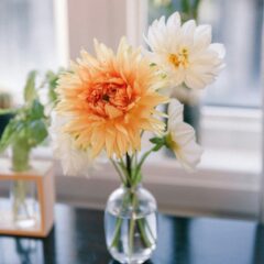 切り花が長持ちする水