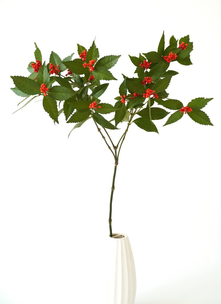 わたしたちの千両