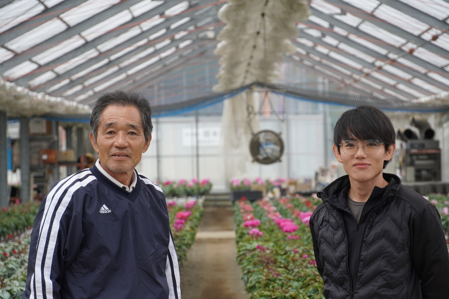 ユニーク品種！シクラメン スノーショコラ【～12/21お届け】