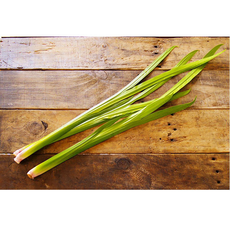 端午の節句 菖蒲１束（約３本程度）