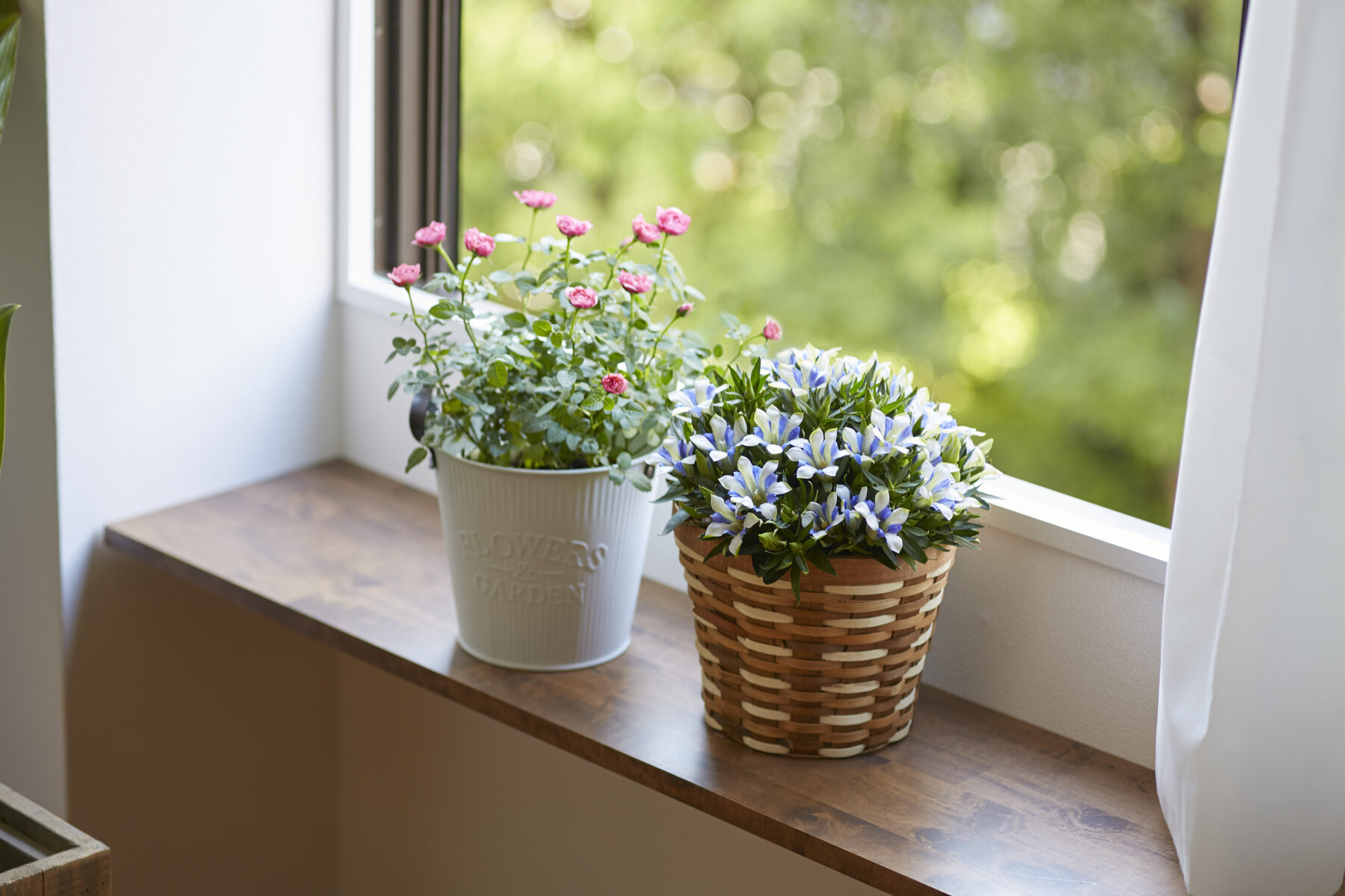 四季折々の花を暮らしに取り入れる方法と季節別おすすめの花選び